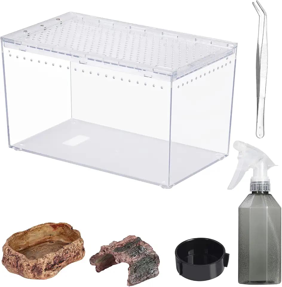 Tarantula Enclosure Spider Terrarium Hermit Crab Tank Starter Kit