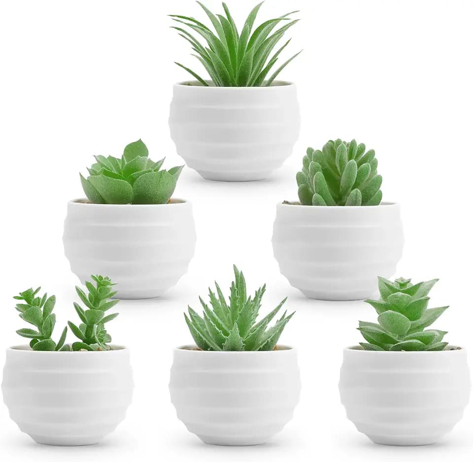 Der Rose 6 Pack Mini Fake Succulent Plants in White Pots for Room Decor