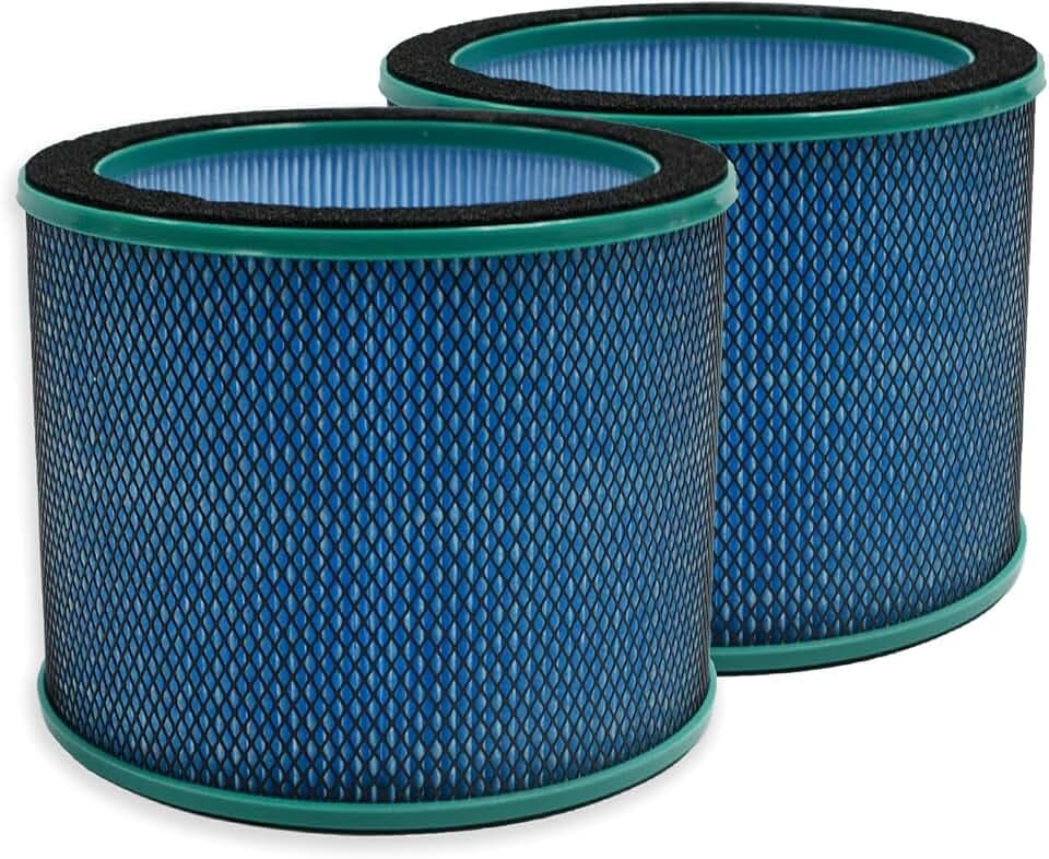 PUREBURG Ersatz-Filter, kompatibel mit ULTTY R021/R21/R020/R20 & djive ARC Heater Luftreiniger auch kompatibel mit modernen Heiß- und Kaltluftreinigern, 2er-Pack