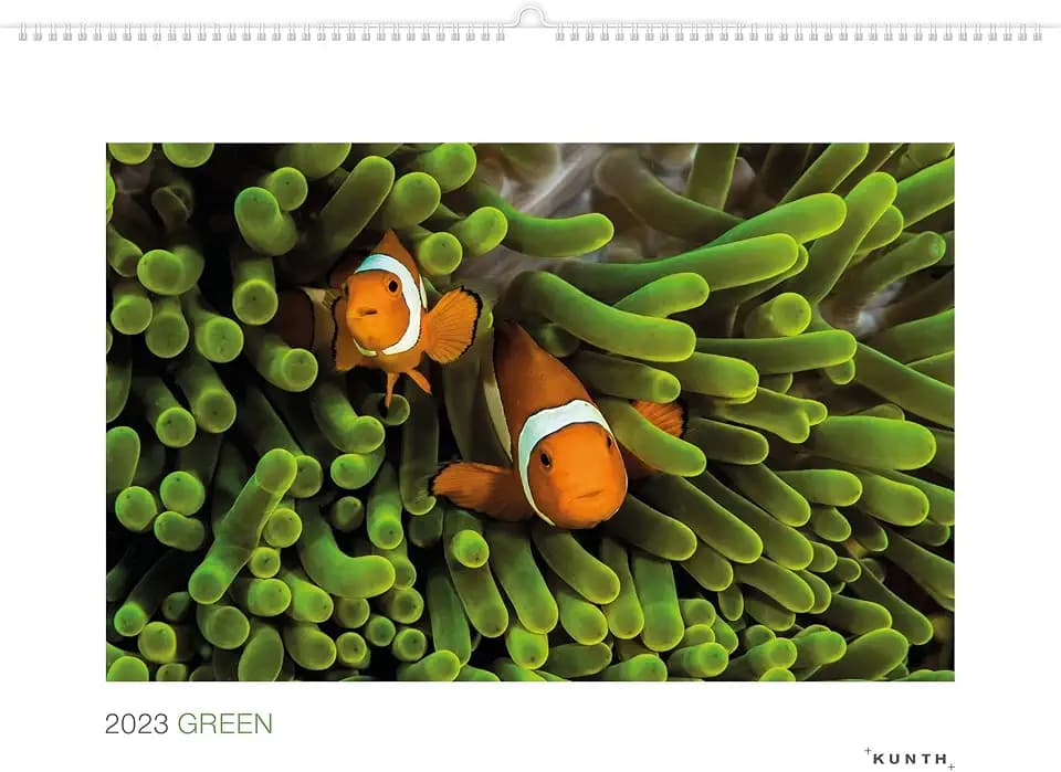 Green 2023 (KUNTH Wandkalender White Edition 60 x 45 cm)