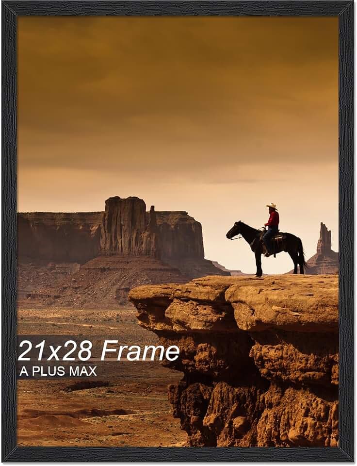 A PLUS MAX 21x28 Picture Frame Black Light Weight Wall Mount
