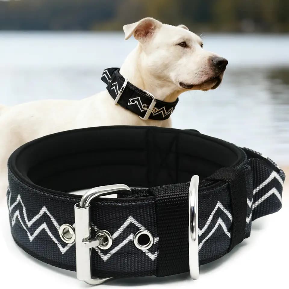 Dog Collar for Large Dogs,2 in Wide Heavy Duty,Pressure-Relief Padded, E-S