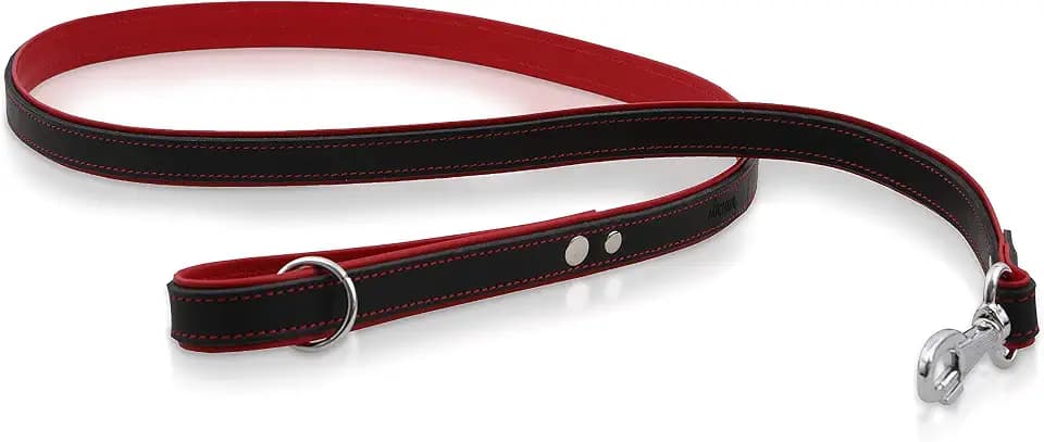 Michur Minimo Rot Leine, Hundeleine Leder, Lederleine Hund, PASSEND ZUM Halsband Minimo Rot, Leder