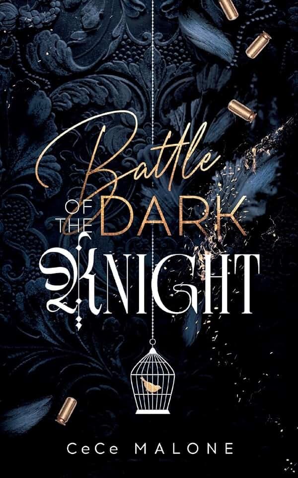 Battle of the dark Knight