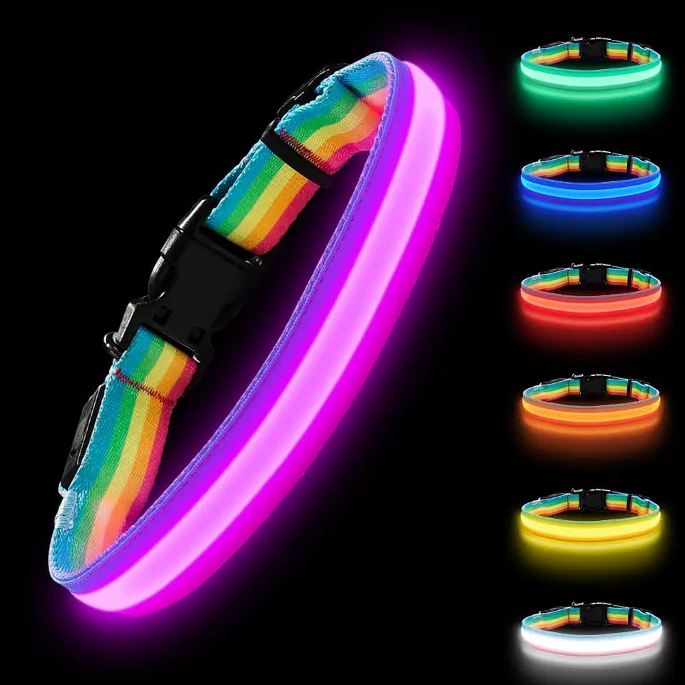 PetIsay Premium LED Dog Collar for Night Walking, USB Rechargeable(Small)