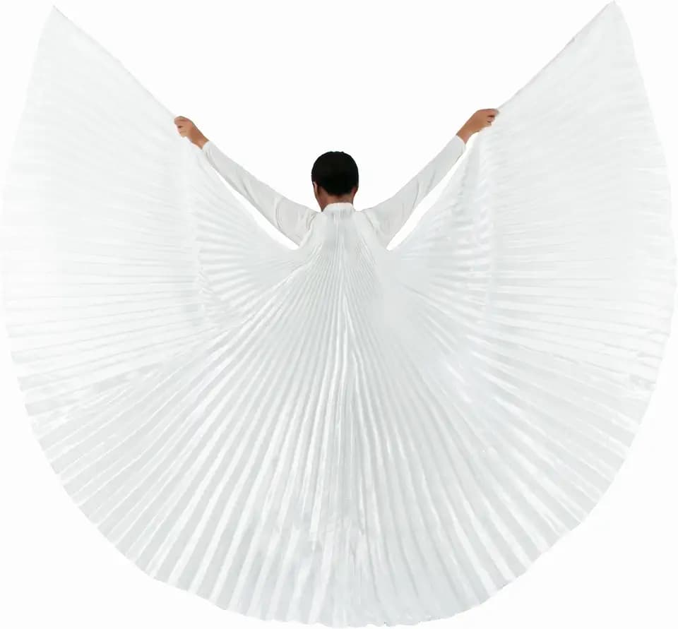 Wuchieal Women's 2 Sticks & Angel Coak Belly Dance Costume Angle Isis Wings