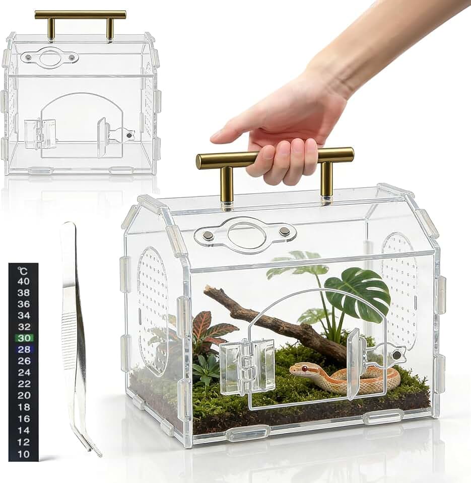 360°Acryl Terrarium Schnecken, 17x15x12cm Acryl Terrarium Mit Griff