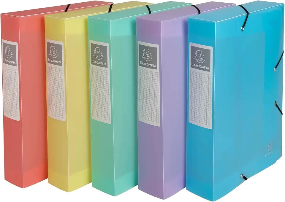 Exacompta 10x Archivboxen Cartobox Chromaline A4 PP Rücken 6 cm