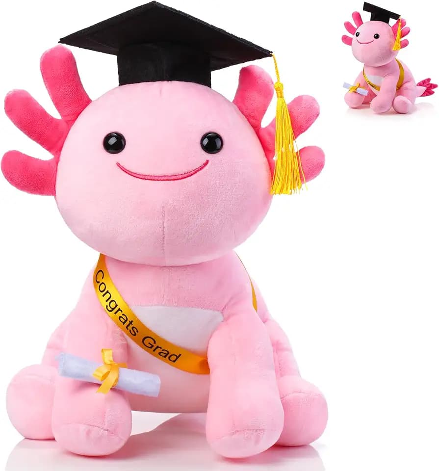 HyDren 10 Inch Graduation Axolotl Plush Stuffed Animal Axolotl Stuffed Animals with Graduation Hat Diploma and Sash, Plush Gift for Preschool, Kindergarten, Friend, Relatives (Fushia)