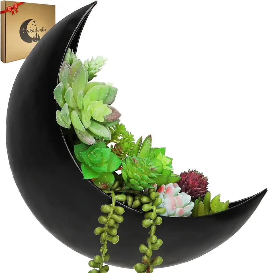 Wand-Pflanzgefäß, Fenster-Pflanzgefäß, hängender Mond-Pflanzgefäß, Boho-Hängepflanzgefäße für Zimmerpflanzen, Sukkulenten, Luftpflanzen, Kakteen, künstliche Pflanzen, Hexengeschenke für Frauen,