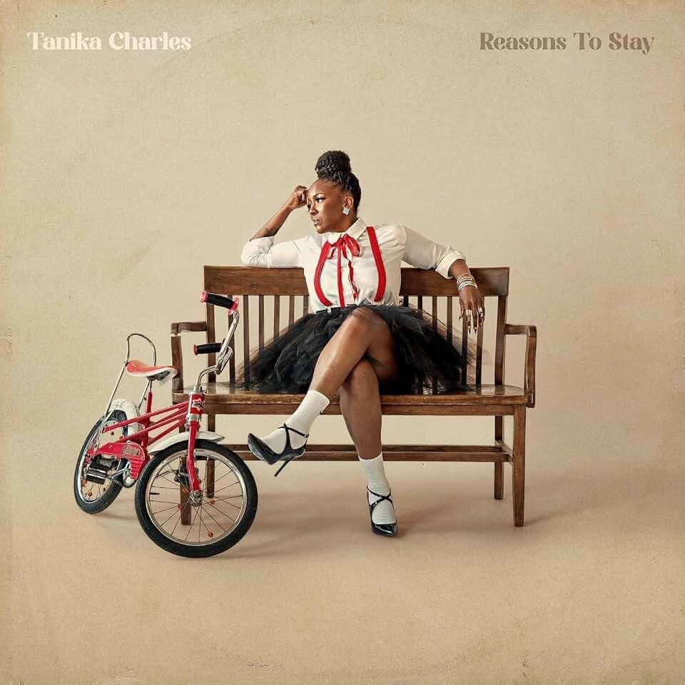 Reasons to Stay (Transparent Vinyl) [Vinyl LP]