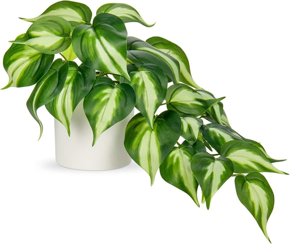 Hollyone Künstliche Pflanzen in Keramiktöpfen, Fake Jade Pothos Dekorative Pflanzen Künstlich in Weiß Töpfen, Wie echte Künstliche Pflanzen für Haus, Tisch, Büro, Schreibtisch Deko