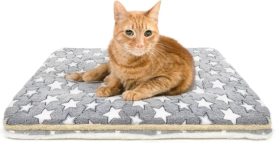 2 Pack Cat Blanket for Indoor Cats, Ultra Soft & Warm Calming Bed