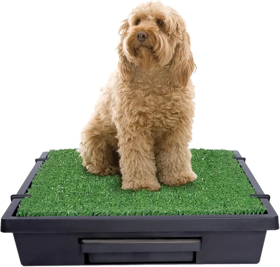 PetSafe Pet Loo Portable Dog Potty, Medium