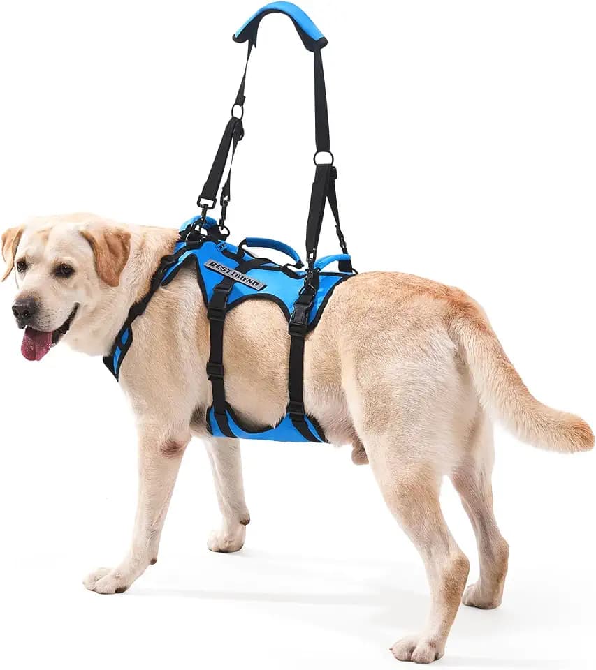 Hunde Hebegeschirr Ganzkörper, Tragehilfe für mittelgroße Hunde, Hundehilfe bei Arthrose & Gelenkproblemen, 3 Griffe, Schultergurt, Blau, M