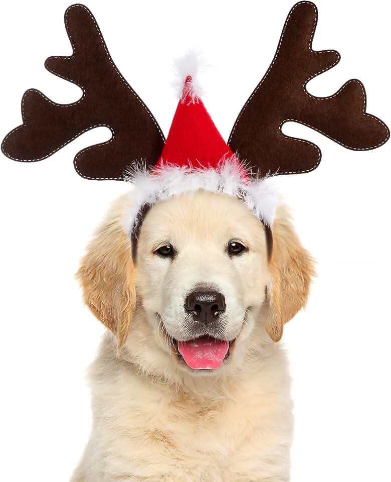 PRETYZOOM Weihnachten Haustier Stirnband Rentiergeweih Stirnband Elchgeweih Haarreif mit Weihnachtsmütze für Katze Hund Weihnachten Xmas Party Haarschmuck Cosplay Kostüm Zubehör