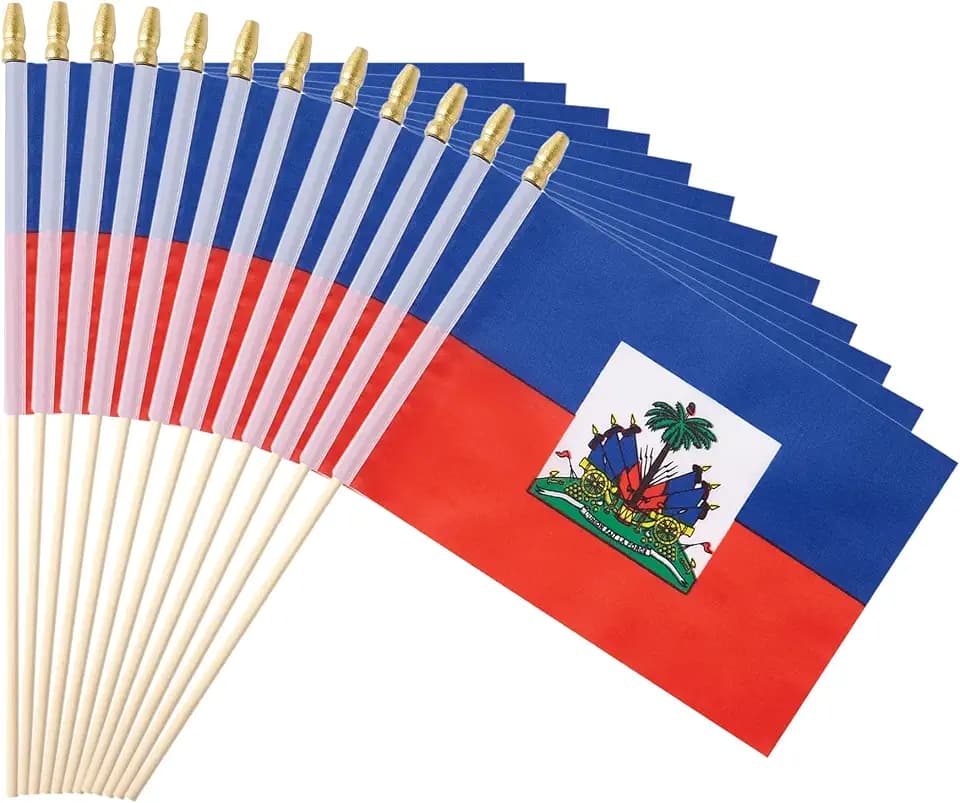 25Pack Small Haiti Flag Handheld Mini Haitian Flag on Stick 5x8 Inch