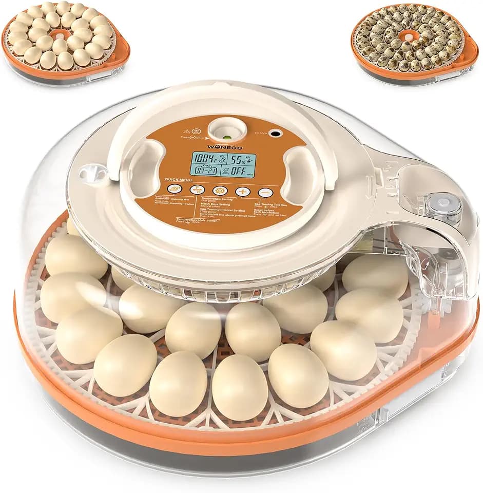 Incubators for Hatching Eggs, 26 Eggs Incubator with Automatic Egg Turning, Temperature & Humidity Control, Auto Water Refill, LED Egg Candler, Hatch Days Setting, for Chicken, Duck, Goose, Bird Eggs