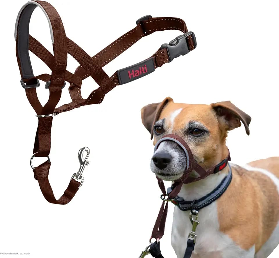 Halti Headcollar | Size 1, Deep Walnut | Training Collar for Small Dogs
