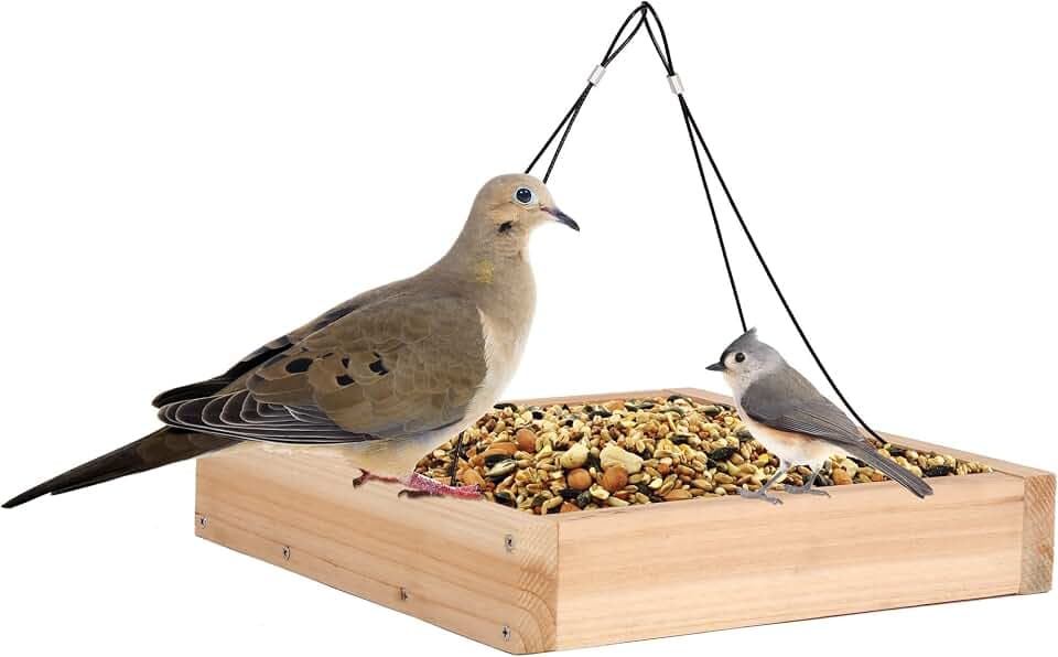 Wild Wings WWCF23 Rot Resistant Cedar Hanging Tray Bird Feeder with Fresh Seed Tray, Platform Feeder for Outdoor Wild Bird Seed Feeder and Décor, Wood