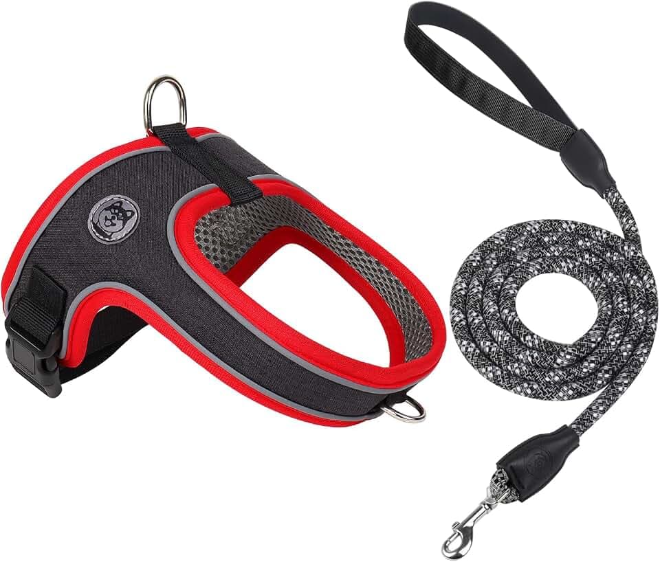 Dog Harness and Leash Set, Over The Head Saddle Style Pet Harness