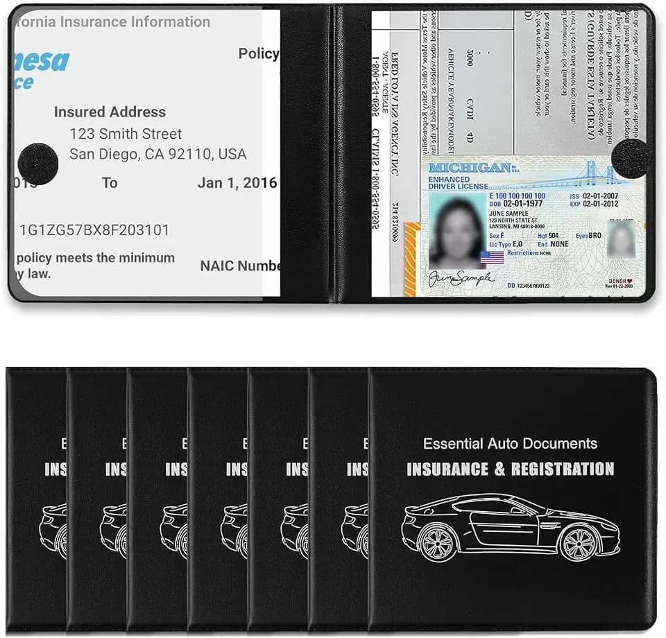 REGUICORP Registration and Holder, 8-Pack and Registration, Auto Essential Holder, Interior Accessories Fit Most, Trucks and SUVs, Men & Women