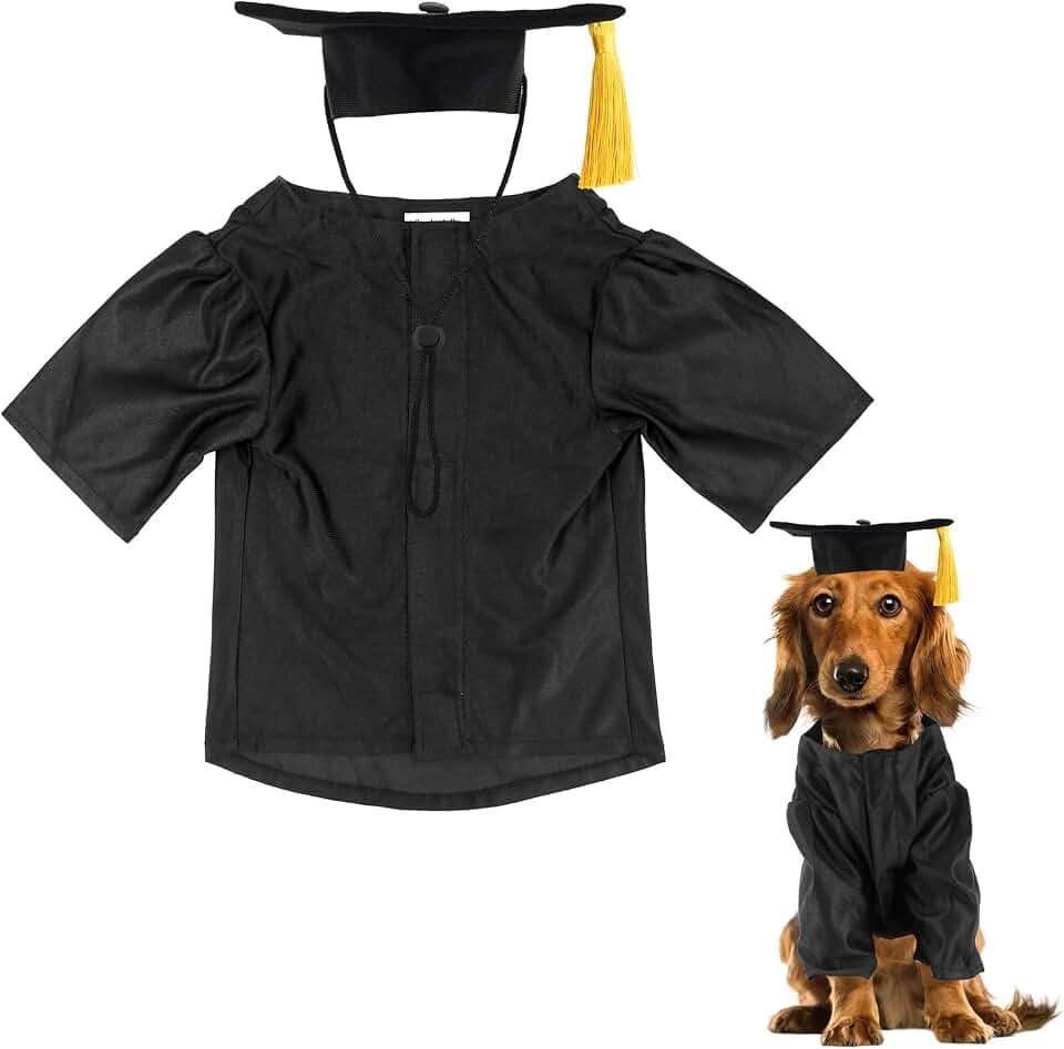 GraduatePro Dog Graduation Cap and Gown Costume Set - Adjustable Knit Fabric with Gold Tassel, 4 Sizes (S/M/L/XL) for Small Dogs & Cats to Medium Dogs, Washable Formal Pet Graduation Attire (Black)