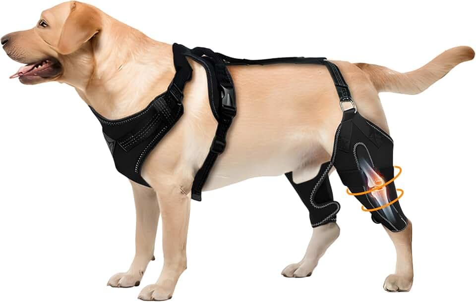Hunde-Kniebandage zur Unterstützung der Hinterbeine, verstellbar, mit Scharnier, Rücken- und Beinstütze, mit Hüftgelenkpflege, reflektierender Gurt, Geschirr für ACL, Arthritis, Linderung