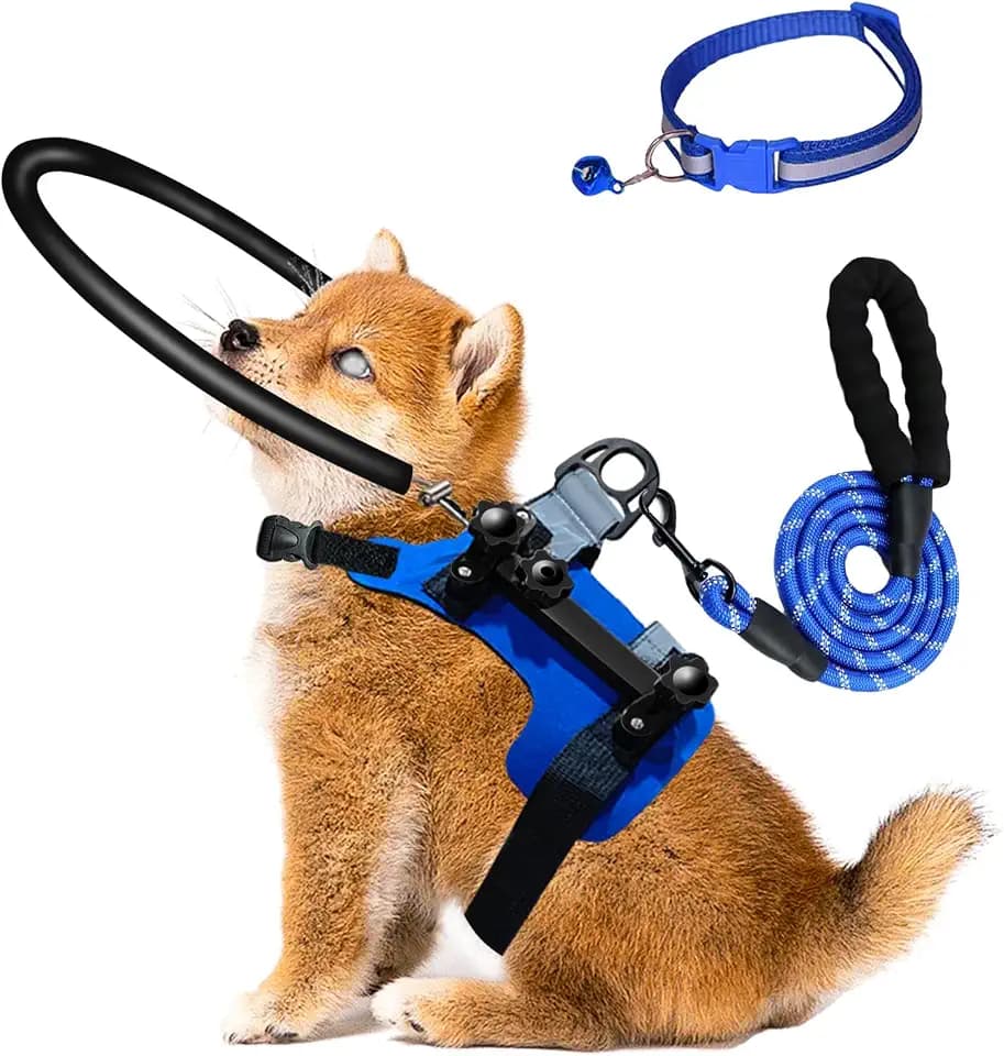 Blind Dog Halo Harness,Adjustable Halo Dog Collar with 5 FT Dog Leash & Reflective Collar,Bumper Halo for Protective & Build Confidence,Blind Dogs Accessories (S:Recommand Weight 9-22 lbs)