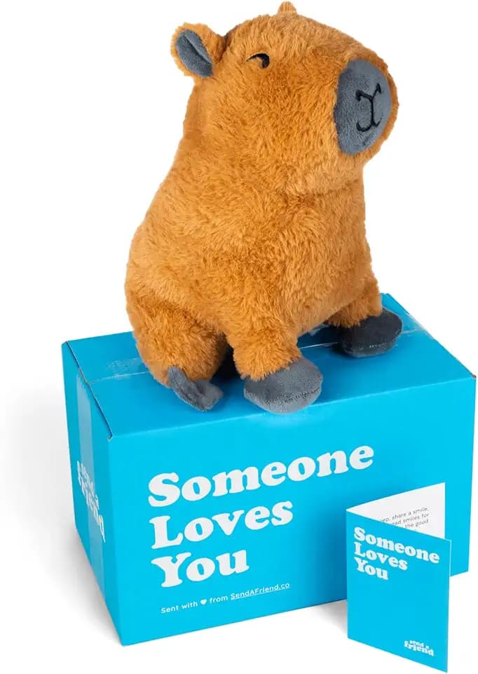 SendAFriend Crouton the Capybara Care Package