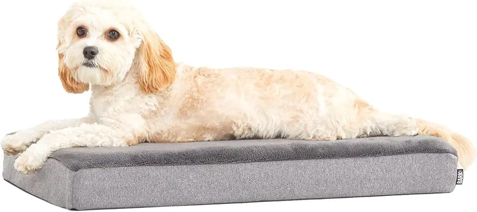 BarkBox Orthopedic Dog Bed - Medium