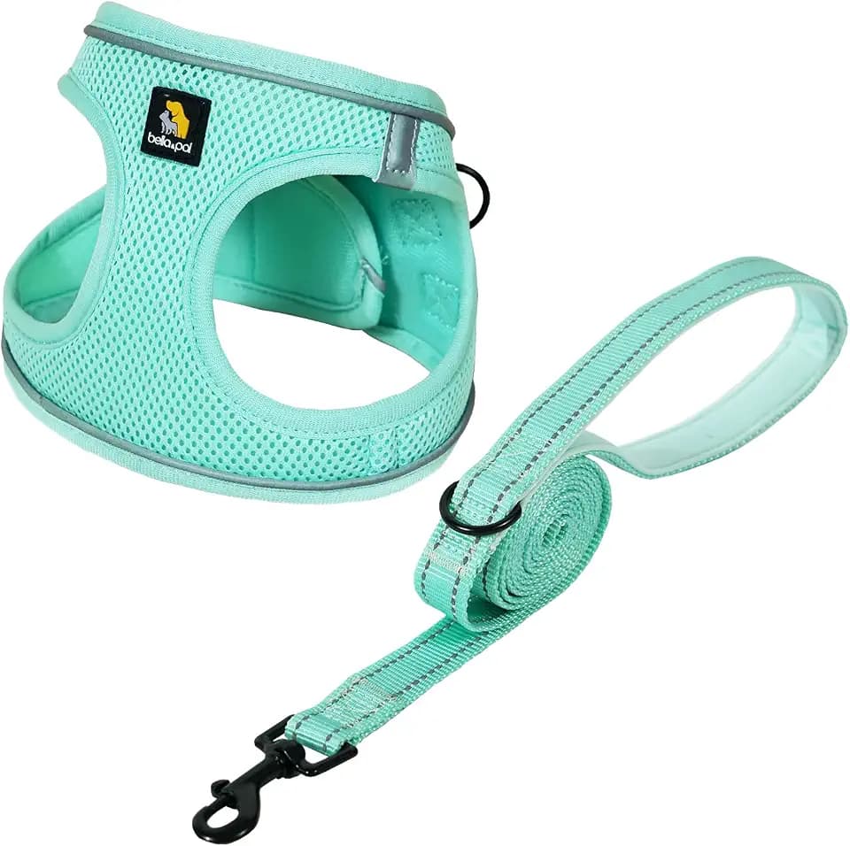 BELLA & PAL Hundegeschirr Kleine Hunde mit Leine, Step-in Geschirr aus Air Mesh, Anti Zug Reflektierend Atmungsaktiv Brustgeschirr, Welpengeschirr für Kleine Hunde, Katzengeschirr, Minze, M