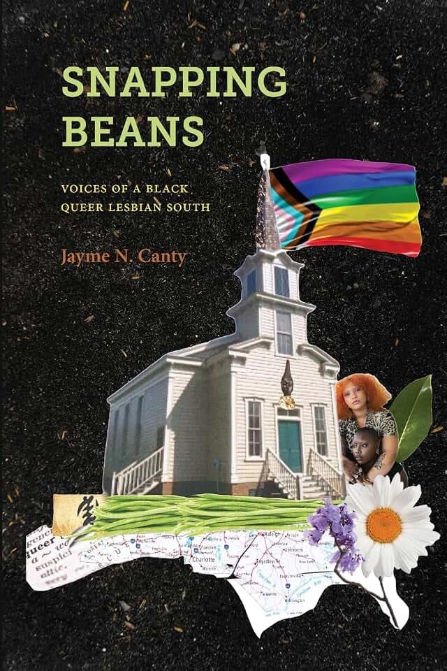 Snapping Beans: Voices of a Black Queer Lesbian South (Suny Black Women's Wellness)