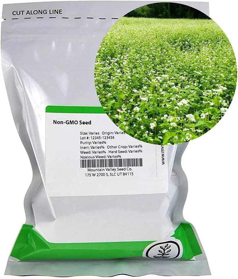Mountain Valley Seed Co Buckwheat Seeds - 1 Lb ~15,000 Seeds - Organic
