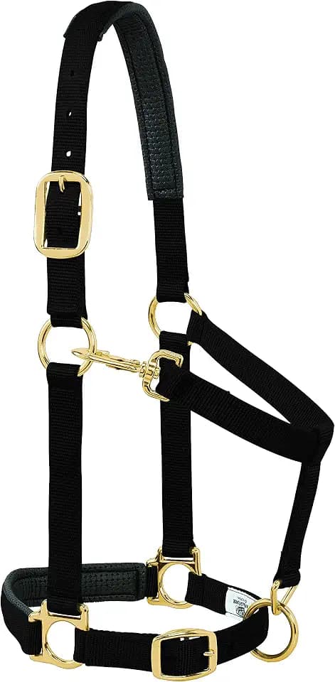 Weaver Leather Padded Adjustable Nylon Horse Halter