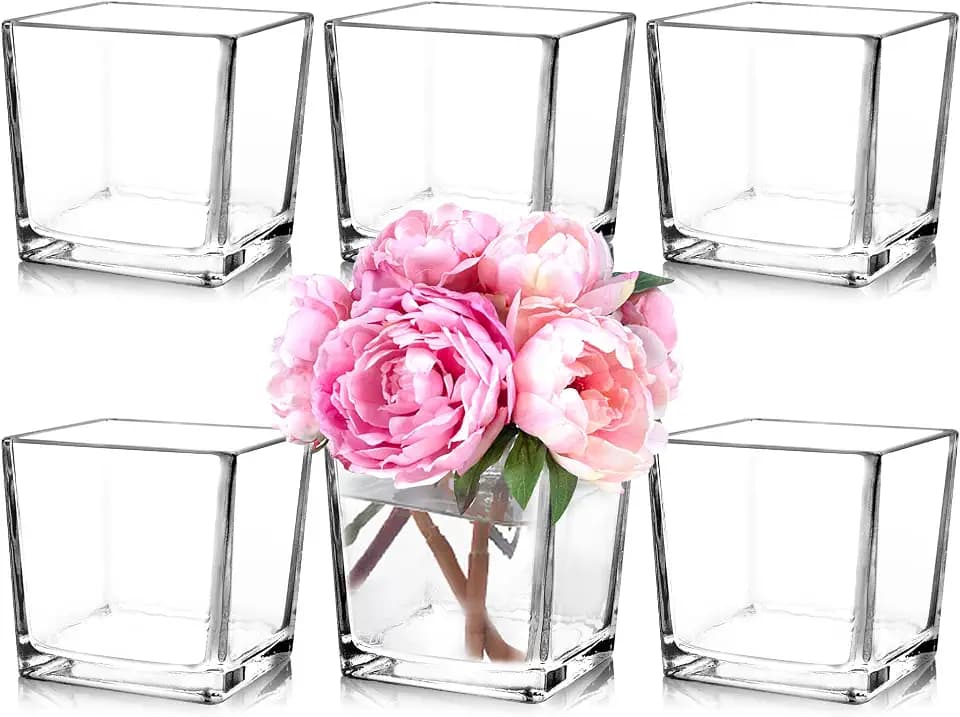 6 Pack Square Glass Vases 5" x5" x 5", Clear Flower Vases