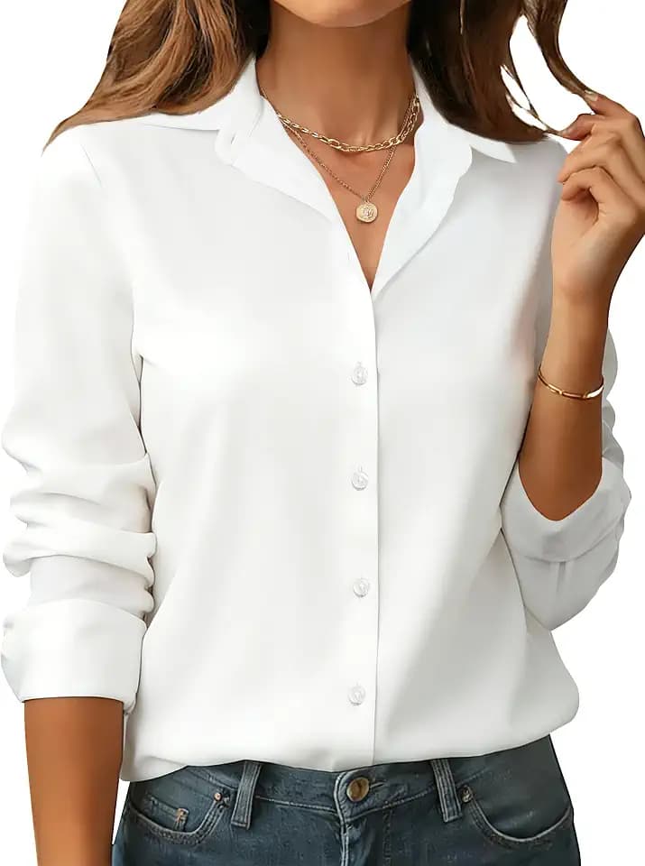 BBIBBI Women's Wrinkle-Resistant Chiffon Button Down Shirt Business Casual