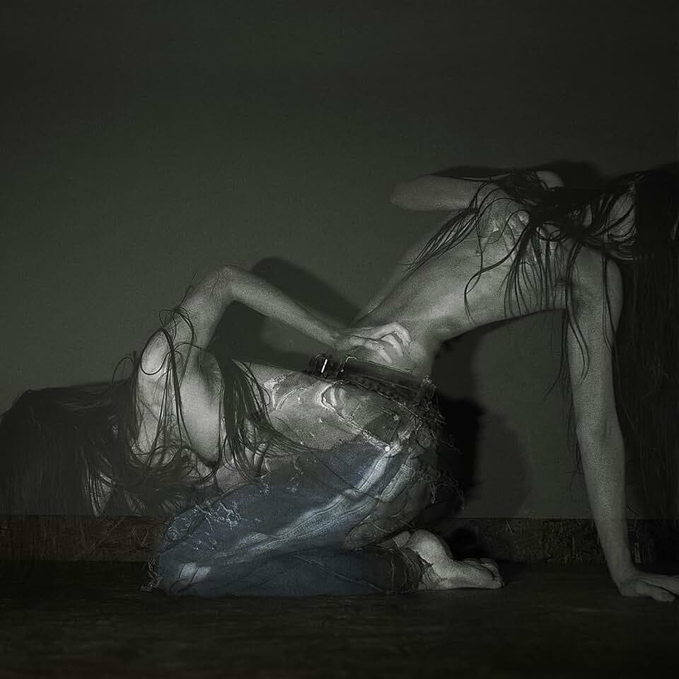 Something Is a Shell [Vinyl LP]