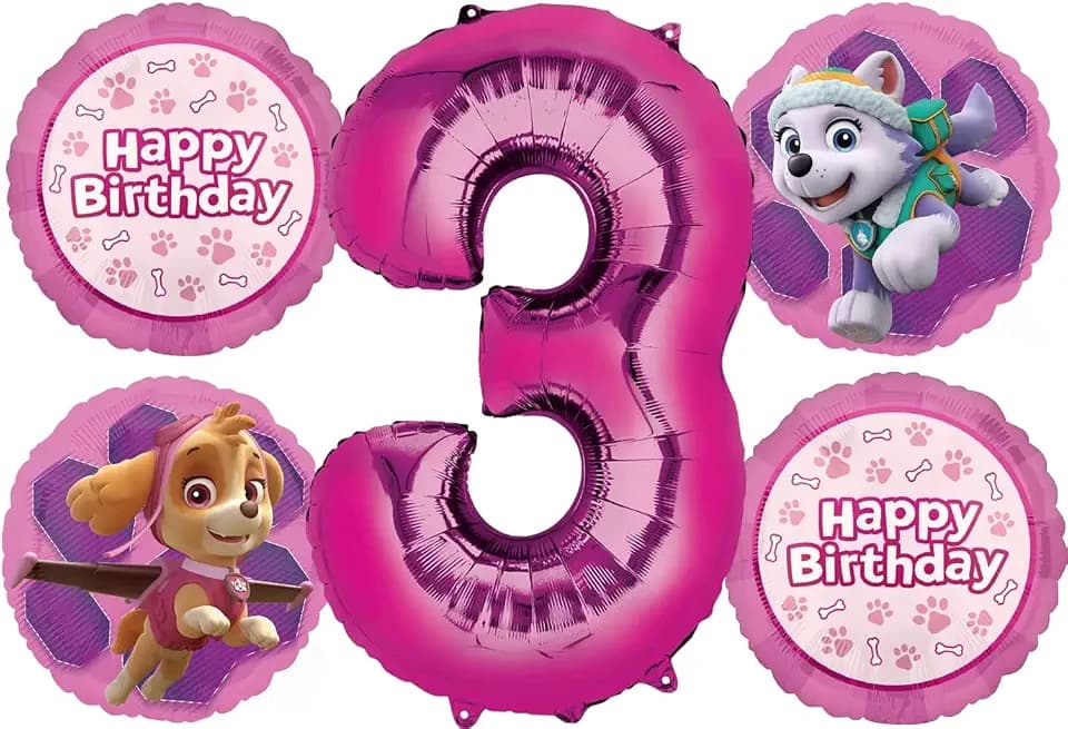 Skye Everest 3rd Birthday Party Supplies Girl Paw Pups on Patrol Balloons