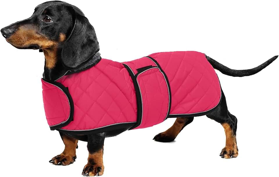 Geyecete - Warmer wintermantel für dackel Hunde,Hunde Winterjacken mit plüschfutter,Outdoor jacken mit verstellbaren gürtel und Kabelbaumloch,für mittelgroße und Kleiner dackel-Rosa-M