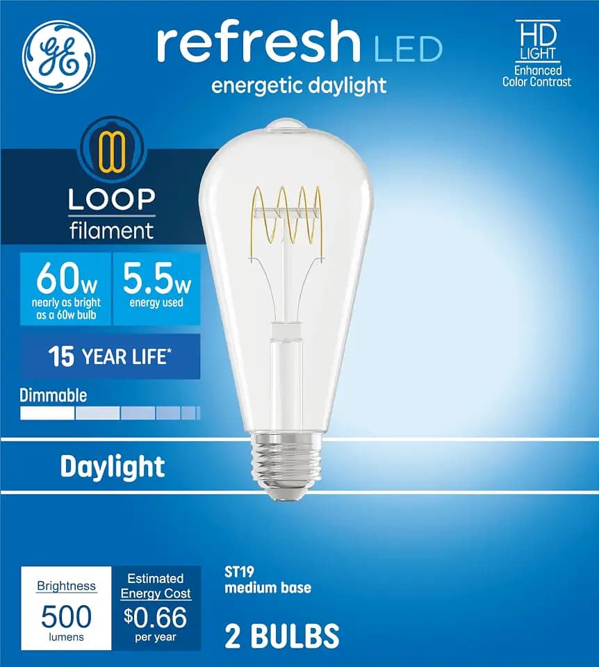 GE Refresh ST19 Daylight Loop Filament Light Bulbs 60W, 2 Pack