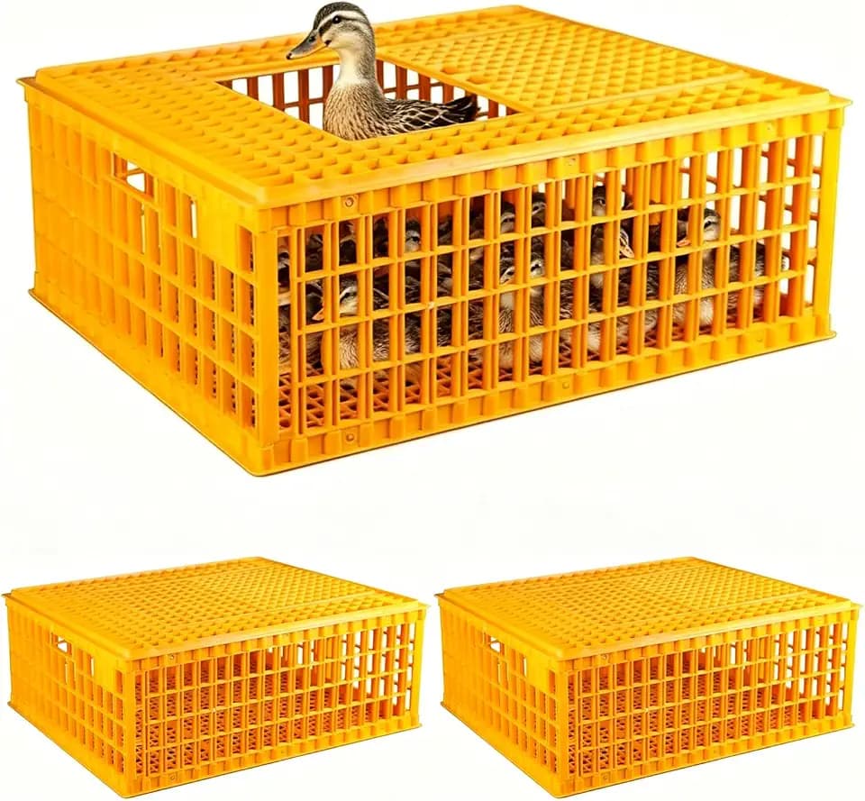 2 PCS Heavy Duty Plastic Poultry Carrier Crate, 29 x 21.3 x 13 Inch Chicken Transport Cage Box, Portable Livestock Travel Crate for 10-13 Adult Chickens Ducks Geese Poultry Birds