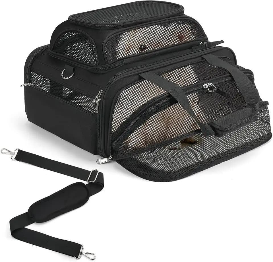 pidipiti 18x14x8 Soft-Sided pet Carrier,for 1 Extra-Small Dog/Medium cat