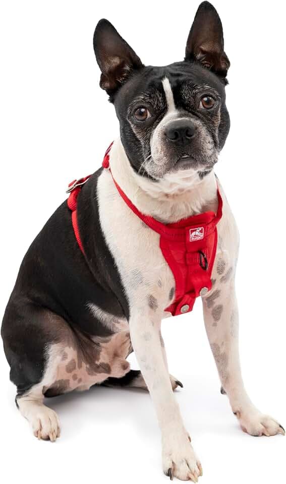 Kurgo Tru-Fit Hundegeschirr, Crash-Test-erprobtes Auto-Sicherheitsgurt, Für Hunde von 2 bis 5 kg, Größe XS, Rot