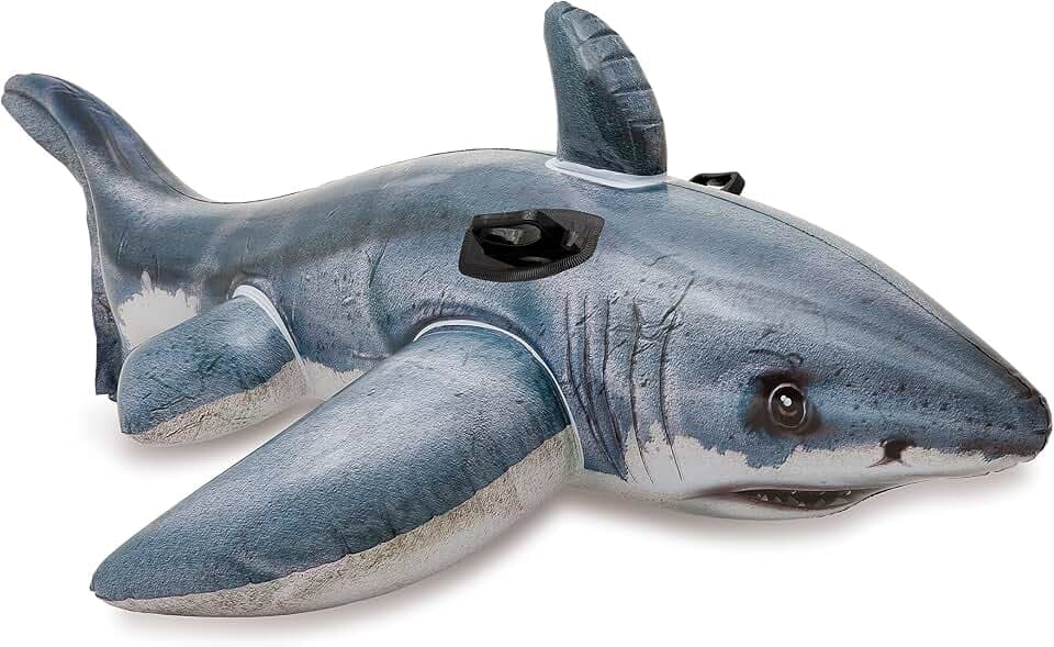 INTEX Inflatable Pool Float: Pool Toy for Kids