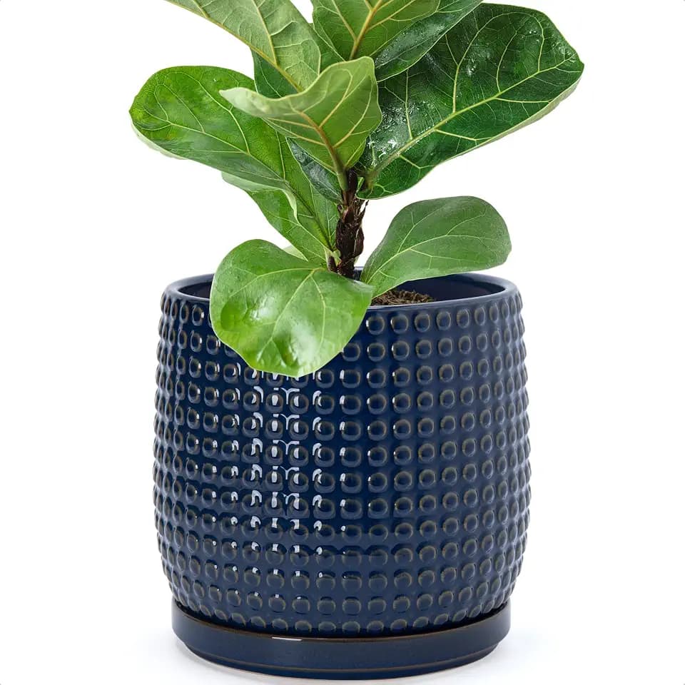 D'vine Dev Beaded Ceramic Pot with Saucer, 8 in, Midnight Blue, 27-C-Q-3