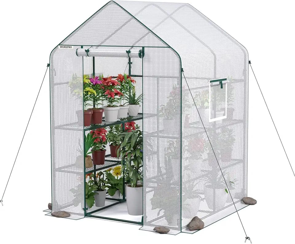 WORKPRO Greenhouse, Heavy Duty Walk-in Greenhouse (56” x 56” x 77”)