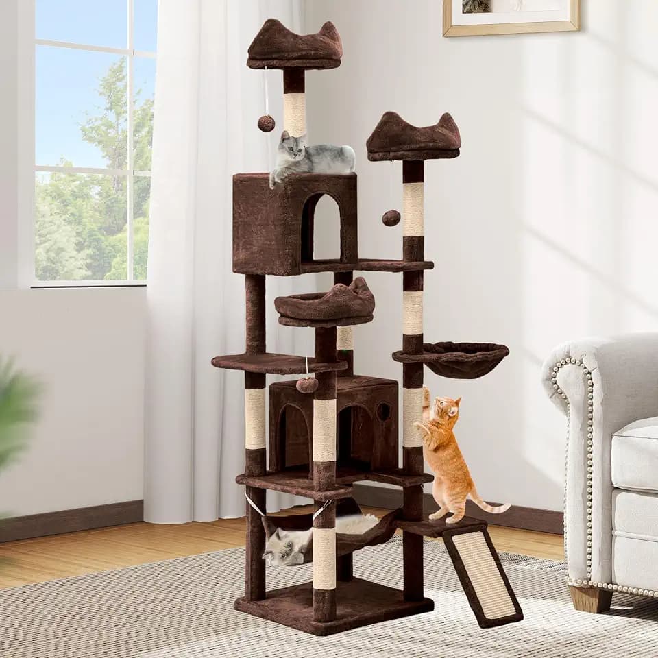 DWVO 75 in Multi-Level Cat Tower