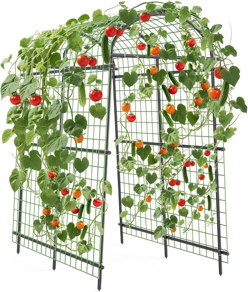 7.5FT Metal Garden Arch Trellis Arbor with Netting, Adjustable Width Pergola for Climbing Plants, Flowers, and Vegetables, Weather-Resistant, Easy Assembly for Outdoor Weddings & Events