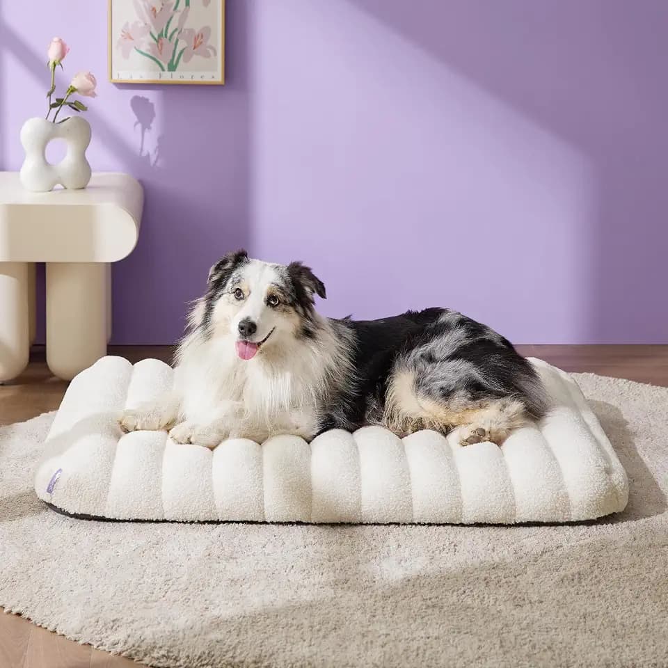 LE SURE Cute Orthopedic Dog Bed Large Sized Dog, Flat Pet Mat,36x27in Cream
